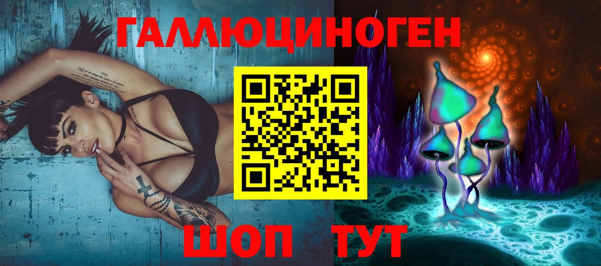 Галлюциногенные грибы Cubensis Елец